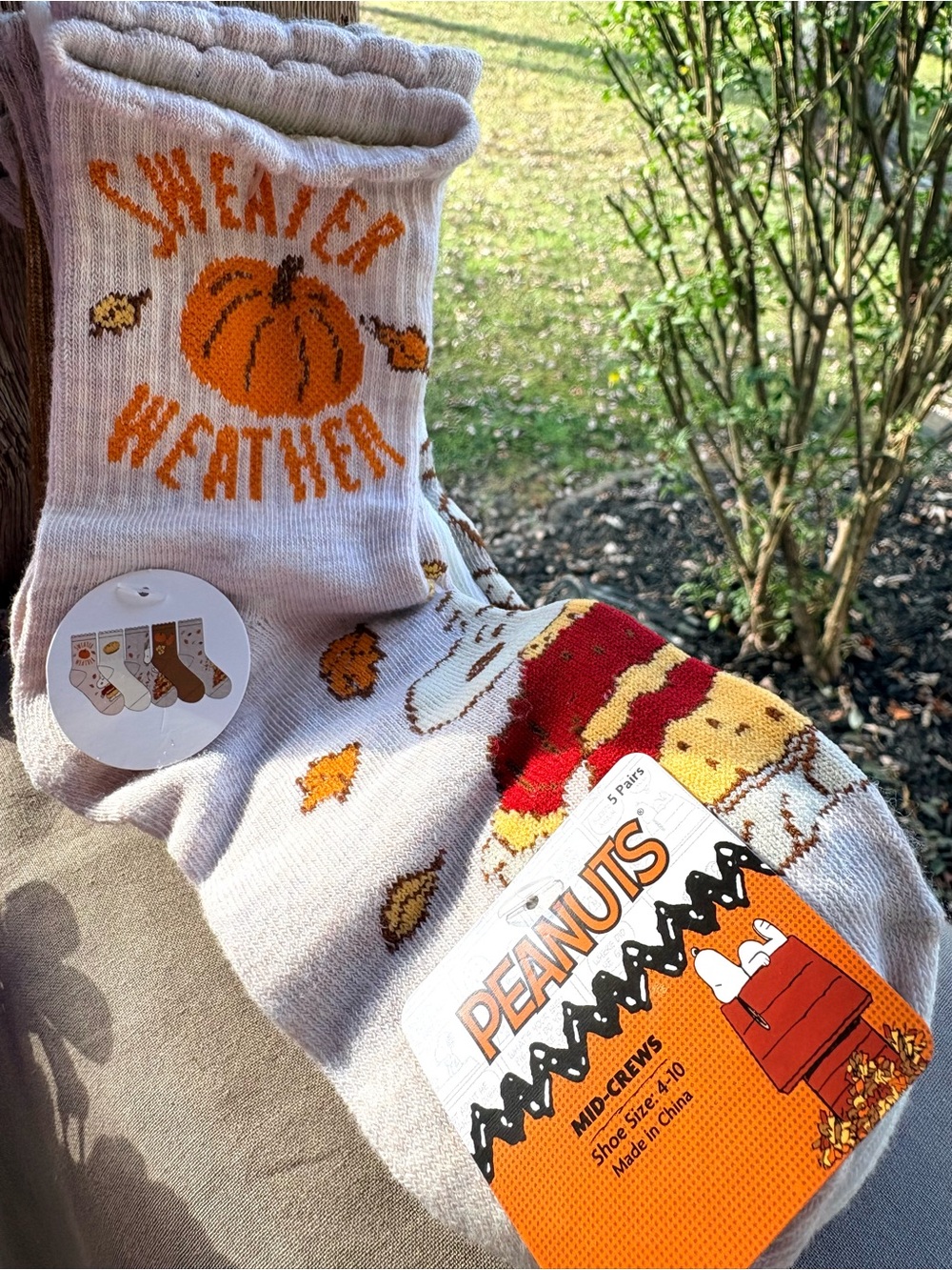 Peanuts Snoopy Mid-Crew Bundle of 5 Pairs of Fall Earthy Colored Graphic Design